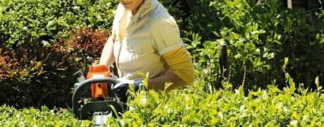 Weed Whack Like The Professional Hedge Trimmers