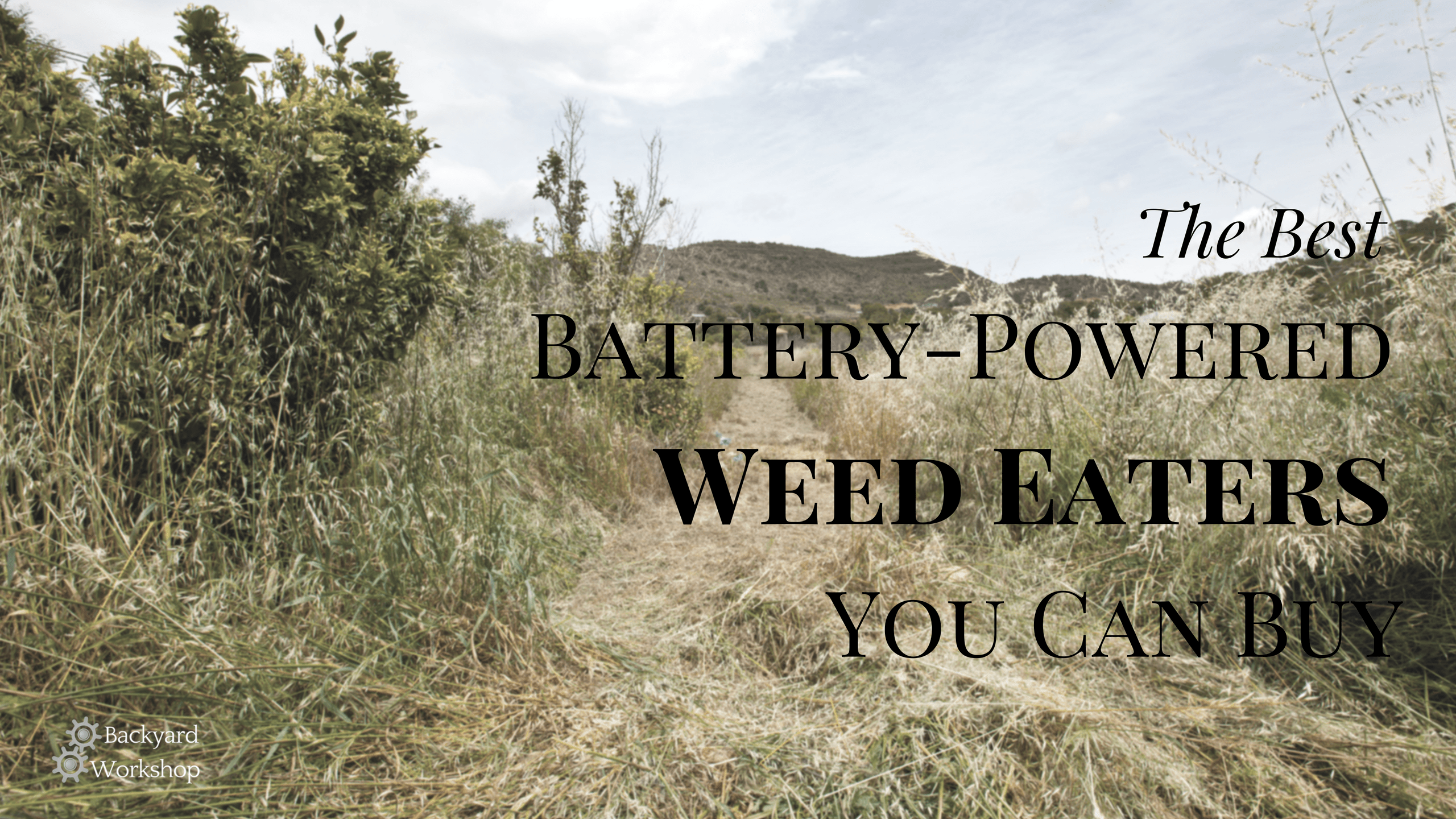 best battery powered weed wacker