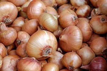 How to Plant Onions