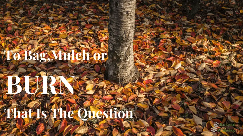 Bag Mulch Or Burn Your Leaves