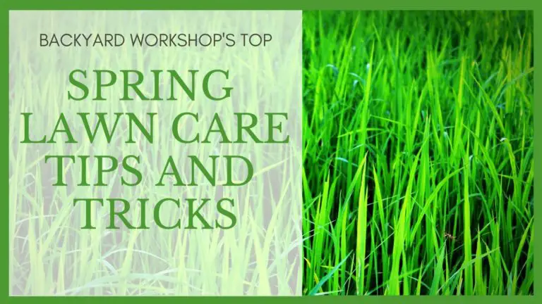 Spring Lawn Care Tips And Tricks Backyardwork Spring Lawn Care Tips And Tricks Backyardwork
