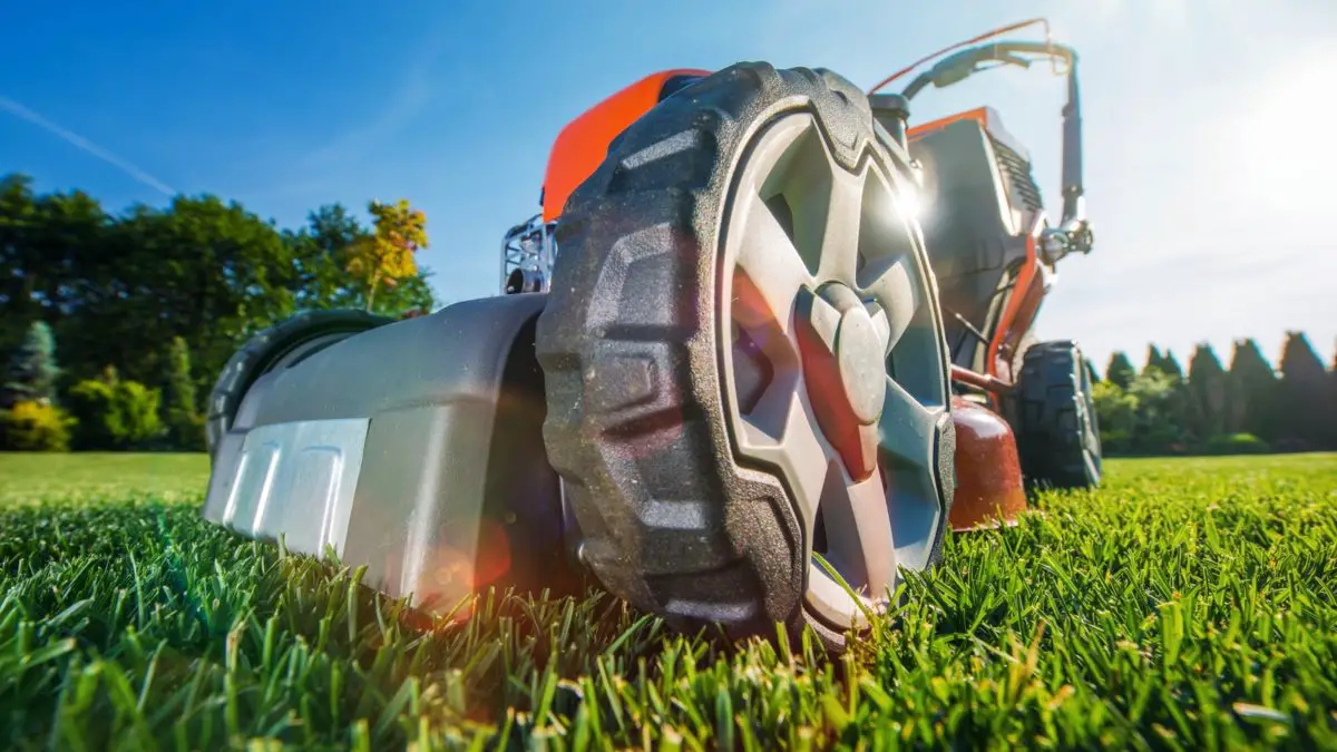closeup of a lawn mower - you need to cut the grass before starting edging